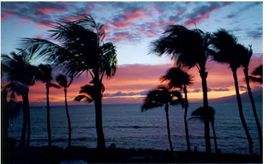 Oceanfront condo at the beautiful Papakea ResortYou've found the perfect place in the West Maui, Kaanapali area for honeymoons, anniversaries, family reunions and memorable vacations.